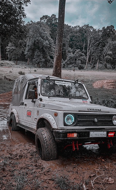 究竟会如何 究竟会如何