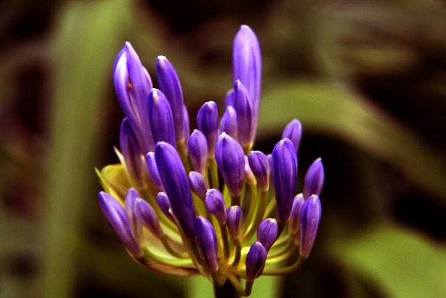 伊卡尔迪这 伊卡尔迪这