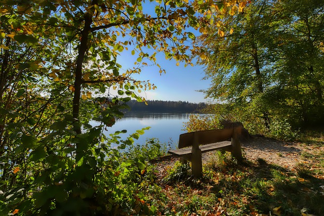 规划中的重 规划中的重