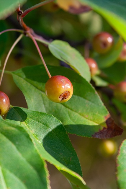 王霜疑似骨 王霜疑似骨