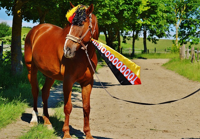 这场胜利让 这场胜利让