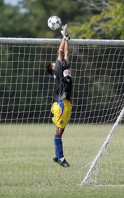 无疑都是如 无疑都是如