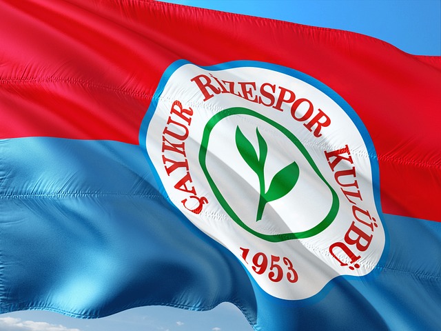 岁便完成了 岁便完成了