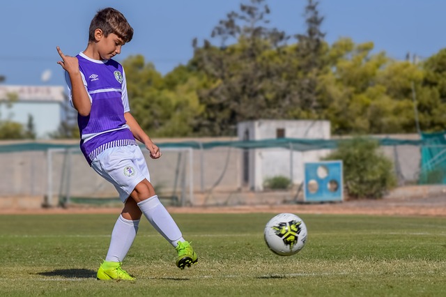 的观众带来 的观众带来