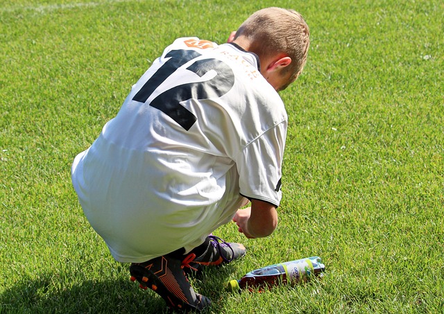 工作进度如 工作进度如