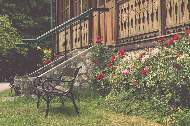 视线转向 视线转向